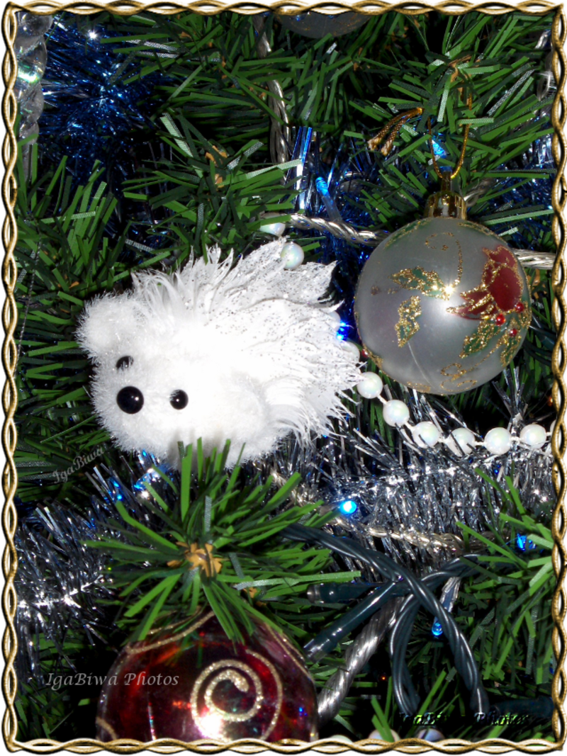 2012-12-05-SAPIN-NOEL-4.png