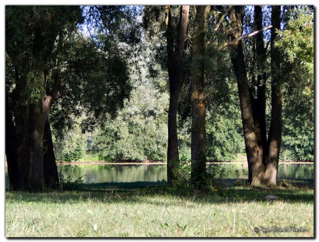 2018_08_25_PAYSAGE_CANIVET_2