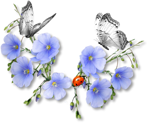 2019_04_20_SEPARATEUR_PAQUES