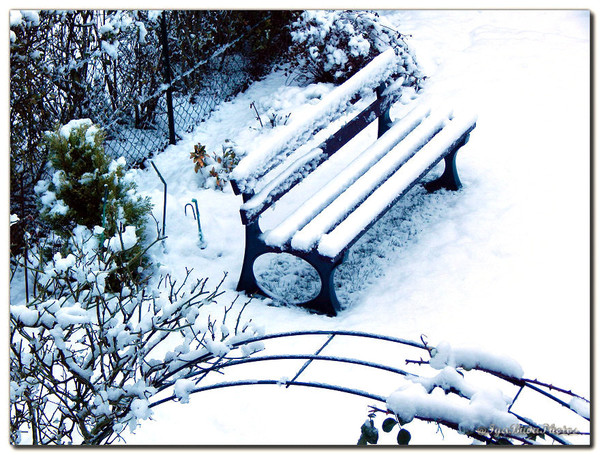 Mon Quartier sous la Neige (1)