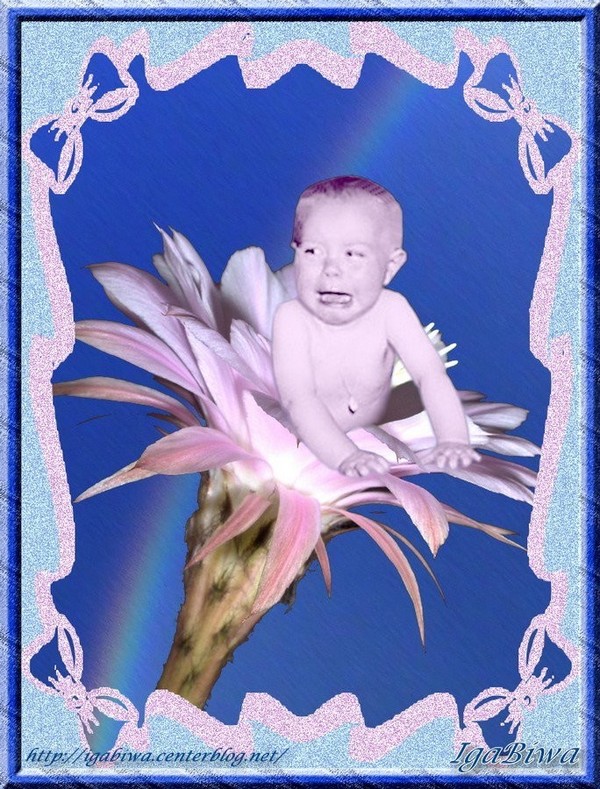Naissance de Bébé Lys