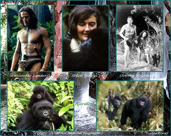 Il était une fois...dans la Jungle
