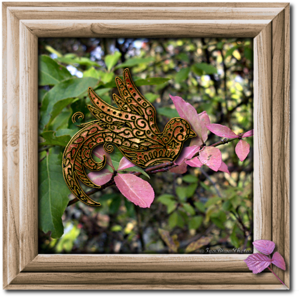 Les Feuillages Roses et Jaunes d'Octobre