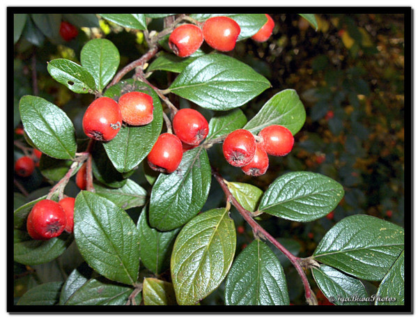 Novembre en Couleurs